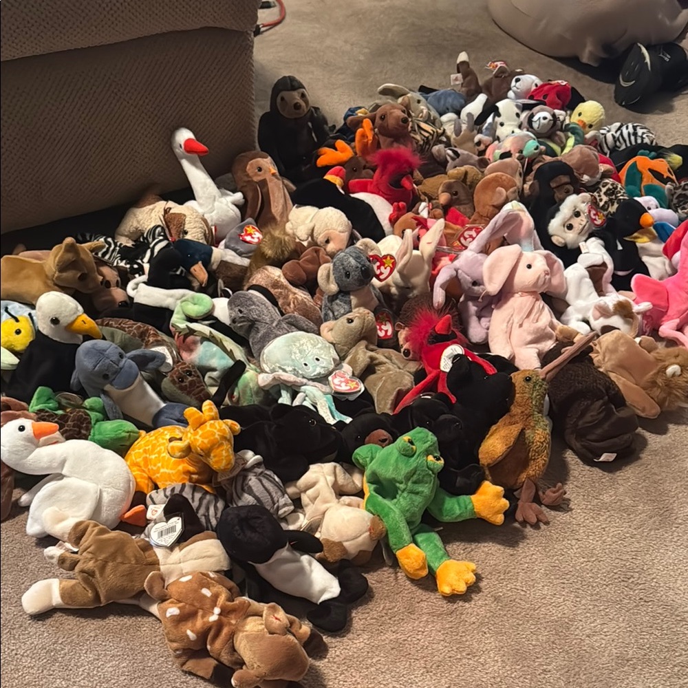 Colorful Beanie Baby Toy Collection